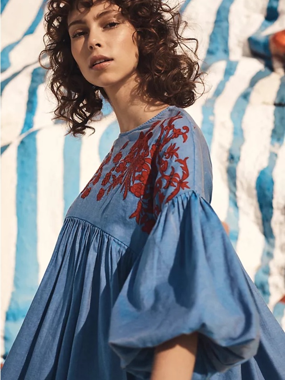 Anthropologie Blue Peplum Top with Red Floral Embroidery